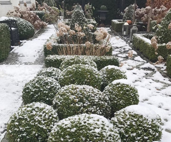 winter gardening zone