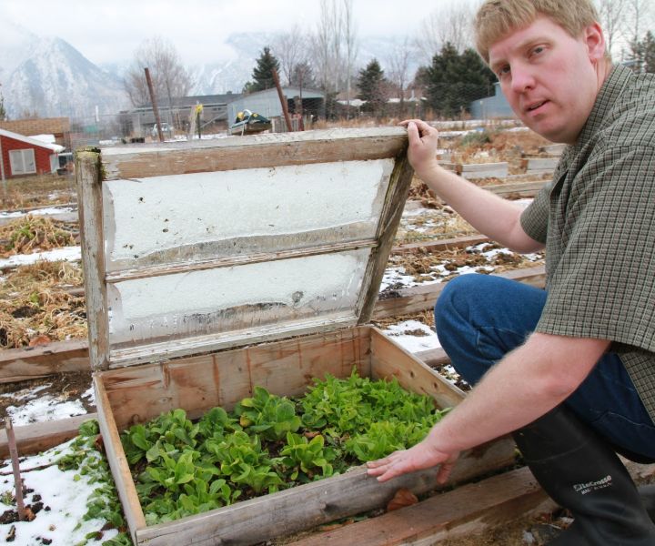 winter veggie gardening