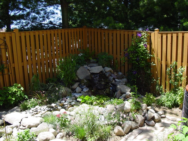 adding more plants around the diy pond