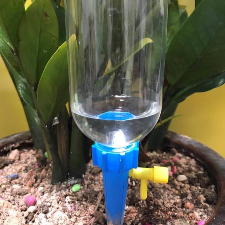 bottle plant waterer