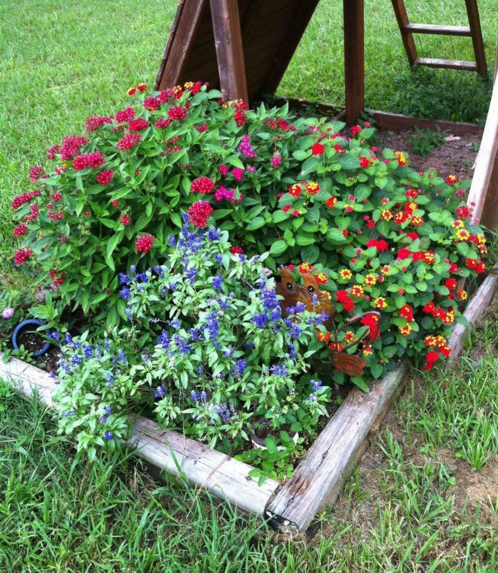 butterfly garden at home