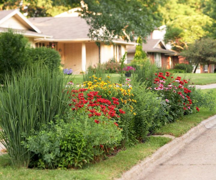 butterfly garden decor