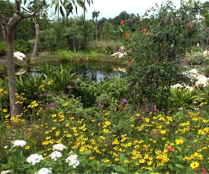 butterfly garden designs