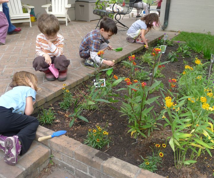 butterfly garden pictures
