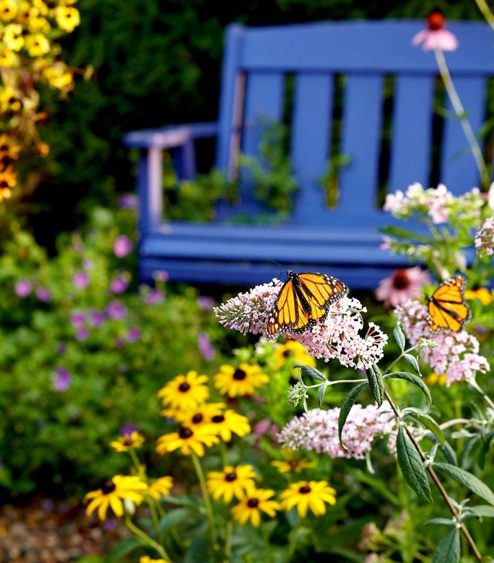 butterfly garden plans