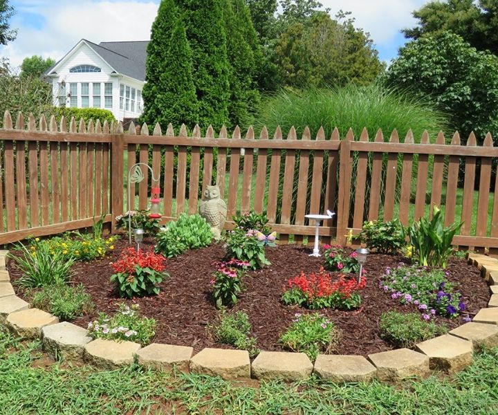 butterfly garden plants