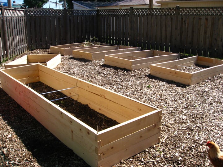 choose garden beds