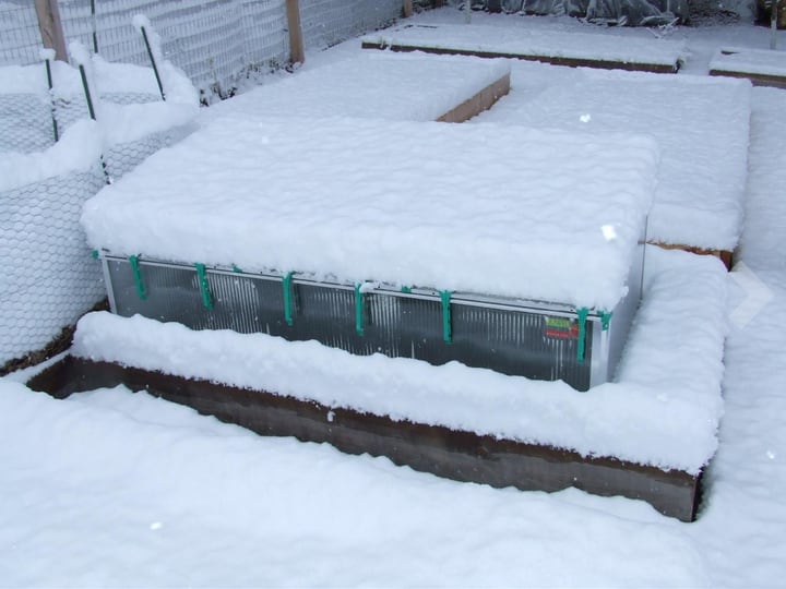 considering snow levels in winter gardening