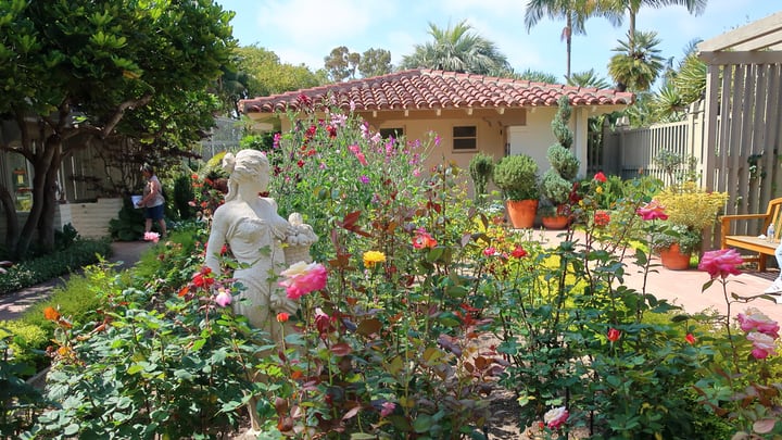 diy rose garden in the front yard