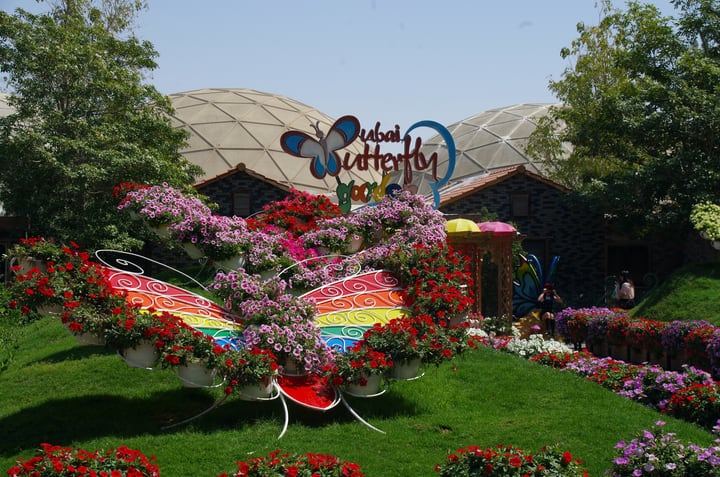 dubai butterfly garden