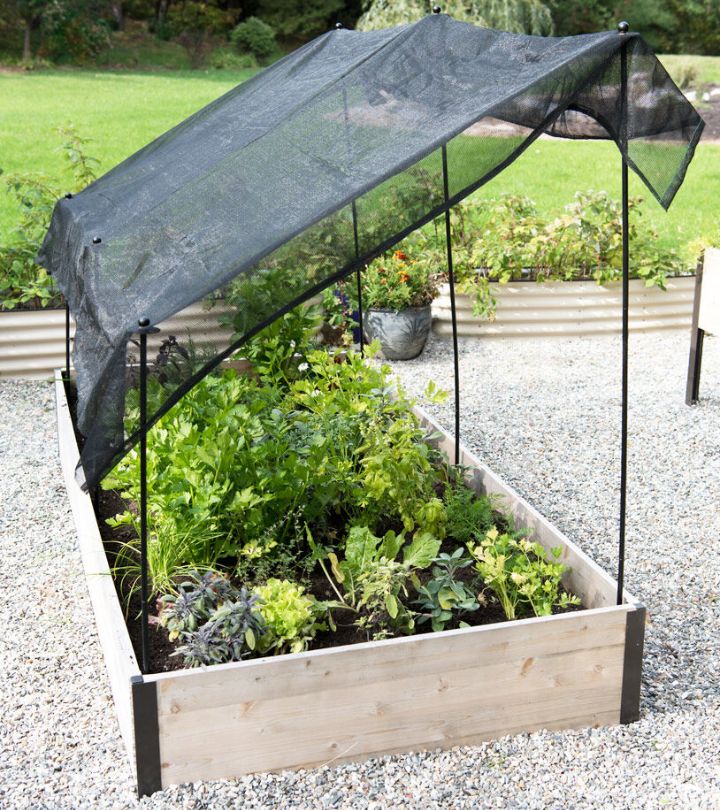 35 Great Shade Gardening Ideas, Garden Shade Structure Diy