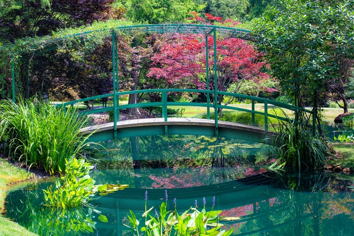 japanese water garden