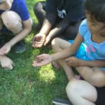 kids learning about butterflies