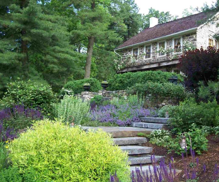 landscape and gardening services