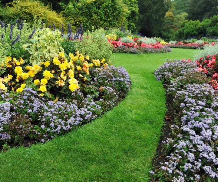 landscape gardening brighton