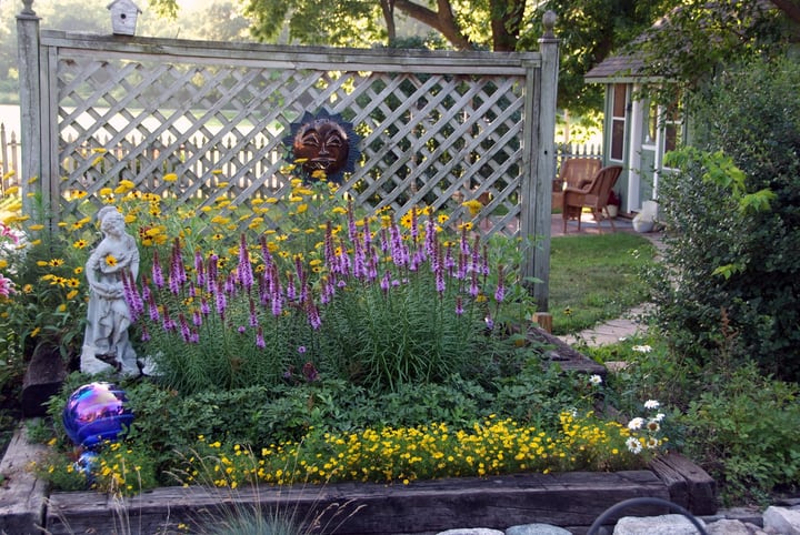 landscape gardening in small backyard