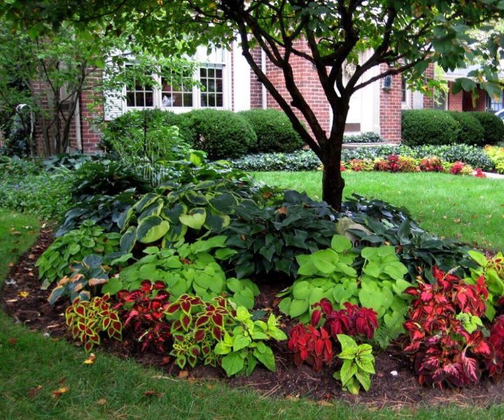 landscape gardening services