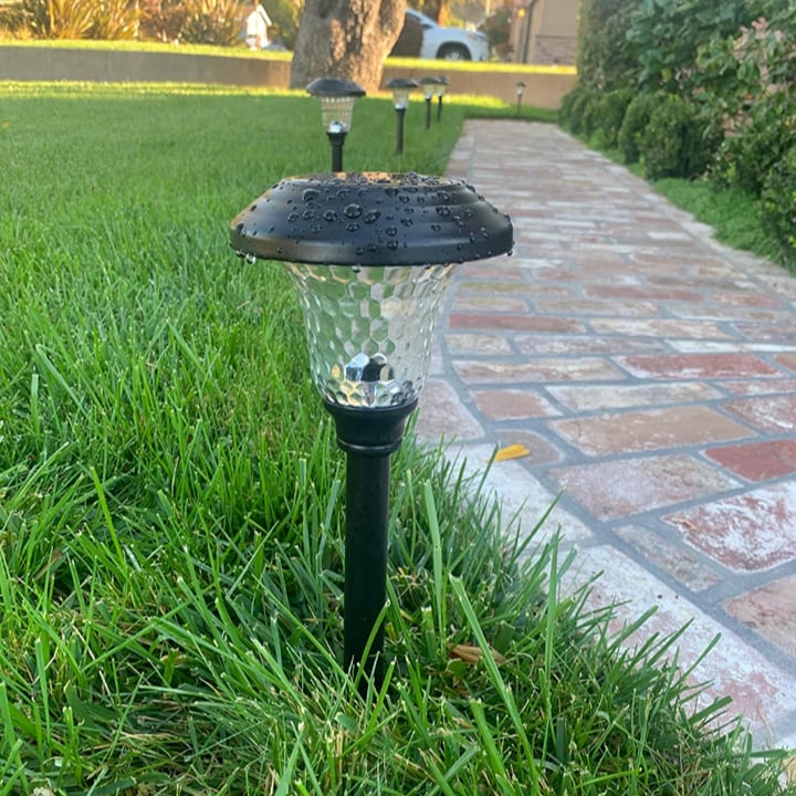 led solar garden light