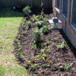 mini butterfly garden with sunlight water and shade