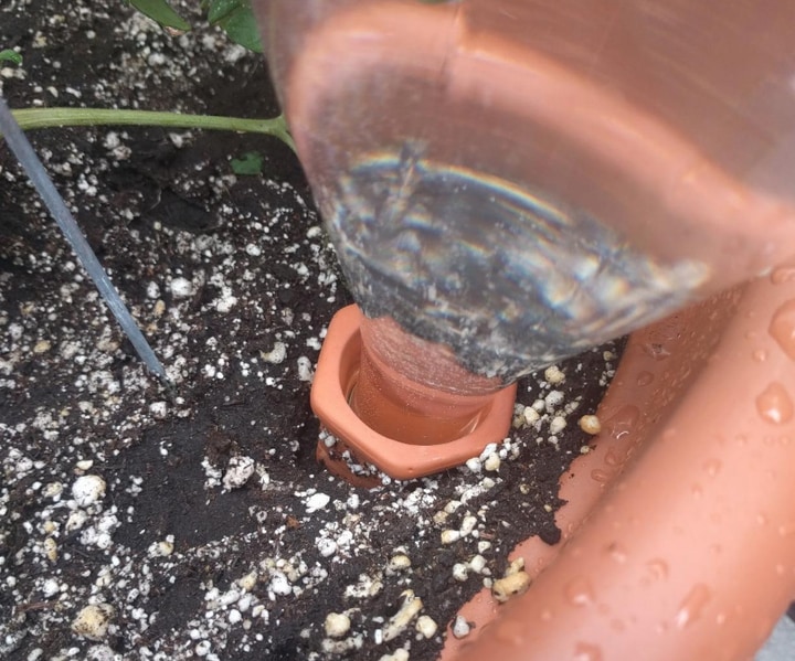 plain terracotta water spike with bottle