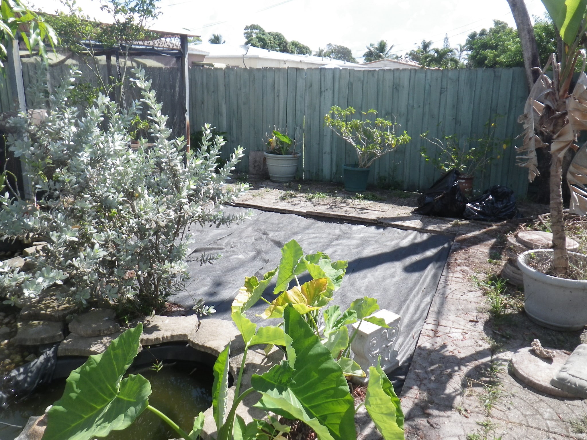 planting local vegetation