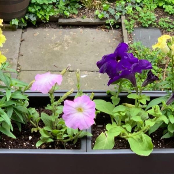 rectangular self watering planter with flowers