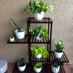 self watering plant stand