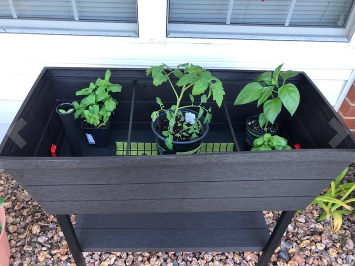 self watering planter