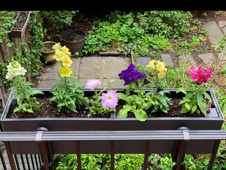 self watering rectangular balcony planter