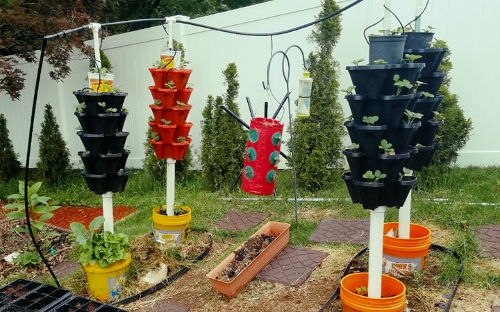 self watering vertical garden outside