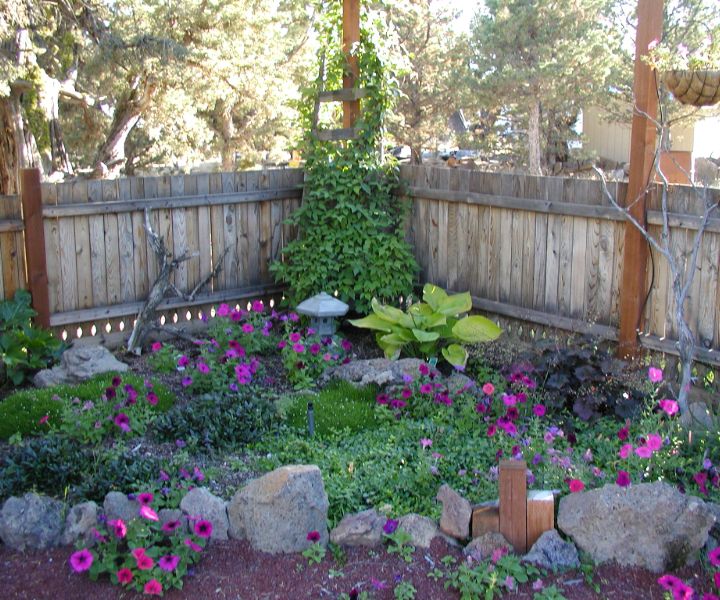 shade perennials with color