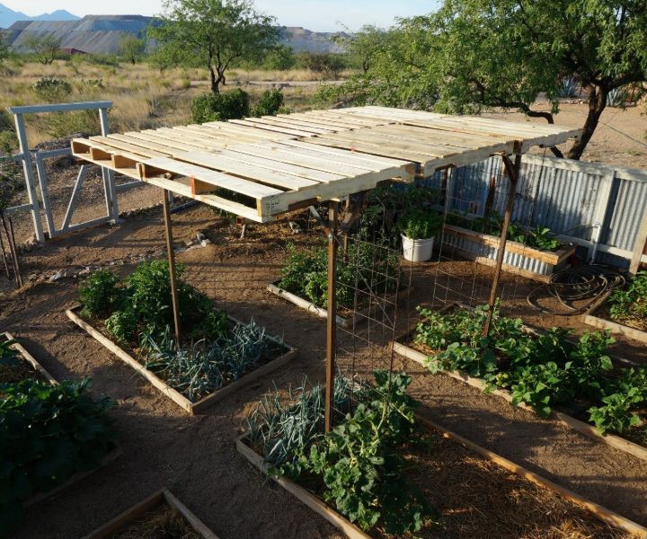 35 Great Shade Gardening Ideas, Garden Shade Structure Plans