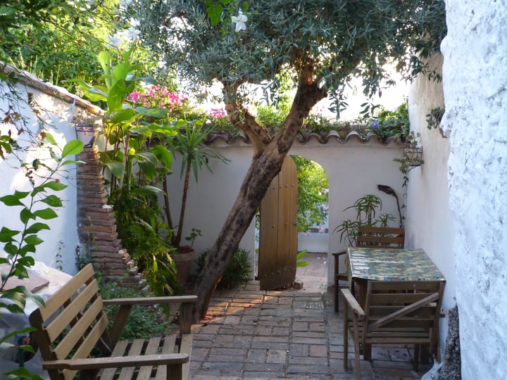 35 Best Terrace Gardening Ideas & Terrace Garden Easy Guide