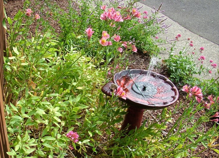 solar powered bird bath in flower garden