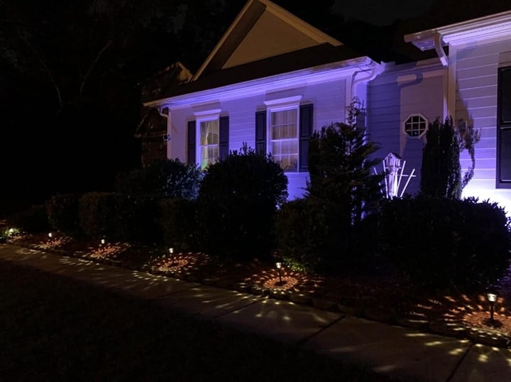 spike lights on the front yard garden