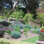 terrace garden plants