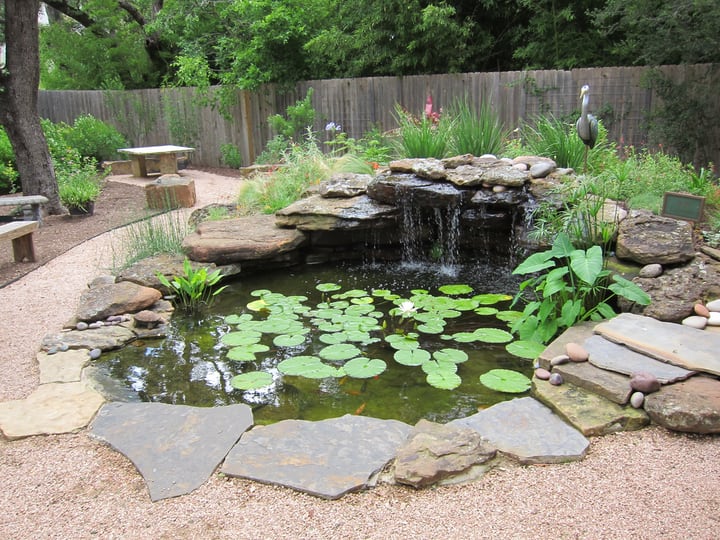 using rocks to outline water gardening features