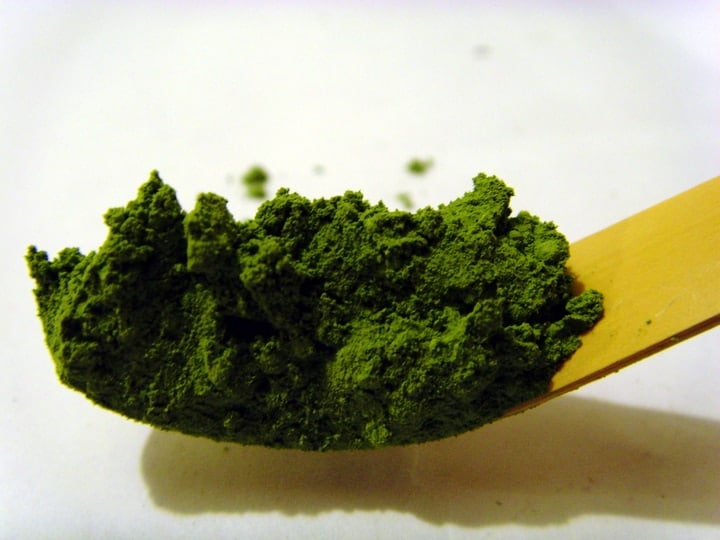 usucha matcha green tea