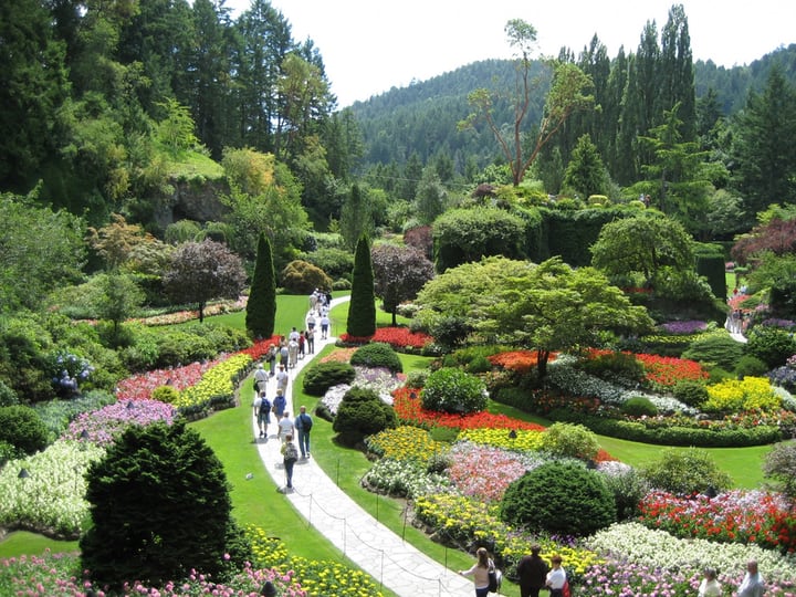 victoria butterfly garden