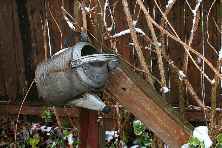 water bucket in winter