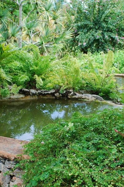 Water Gardens Spanish 8 : Ihoevxiuujinam - Make your choice, and our