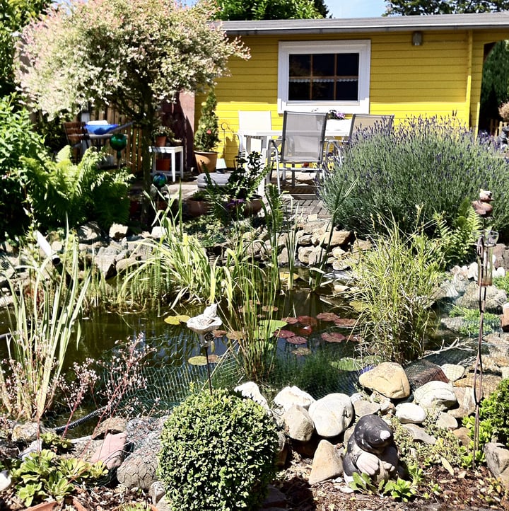 water garden plants