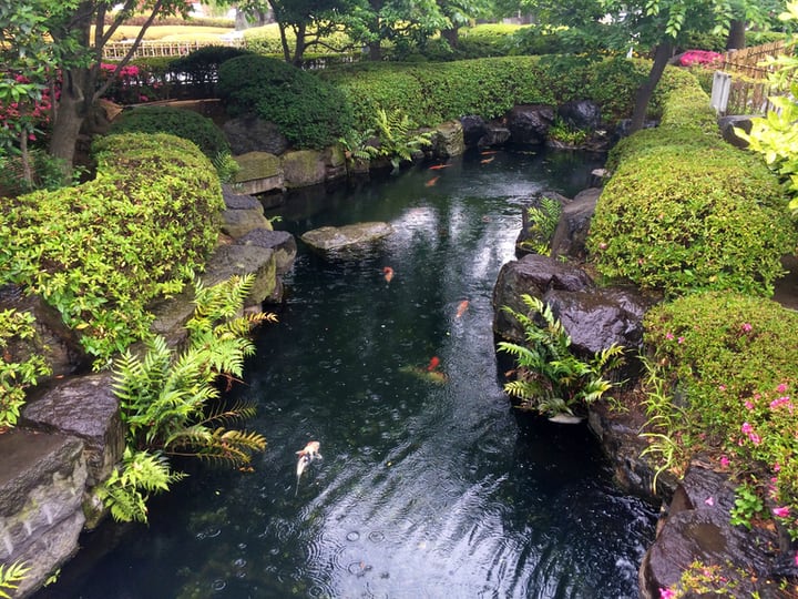 water gardening in a artificial river