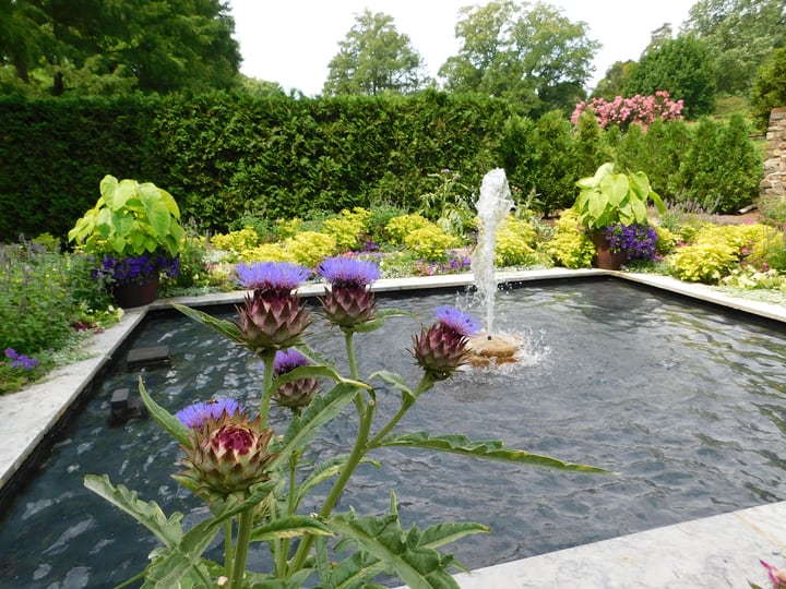 41 Great Water Gardening Ideas How To Build A Garden - Water Garden Pictures Ideas