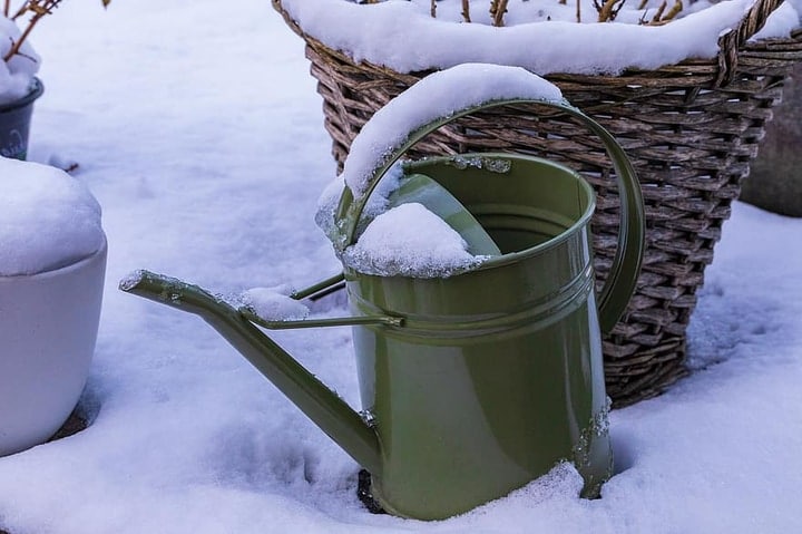 watering plants in winter