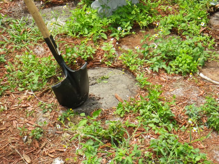 working on own landscape garden