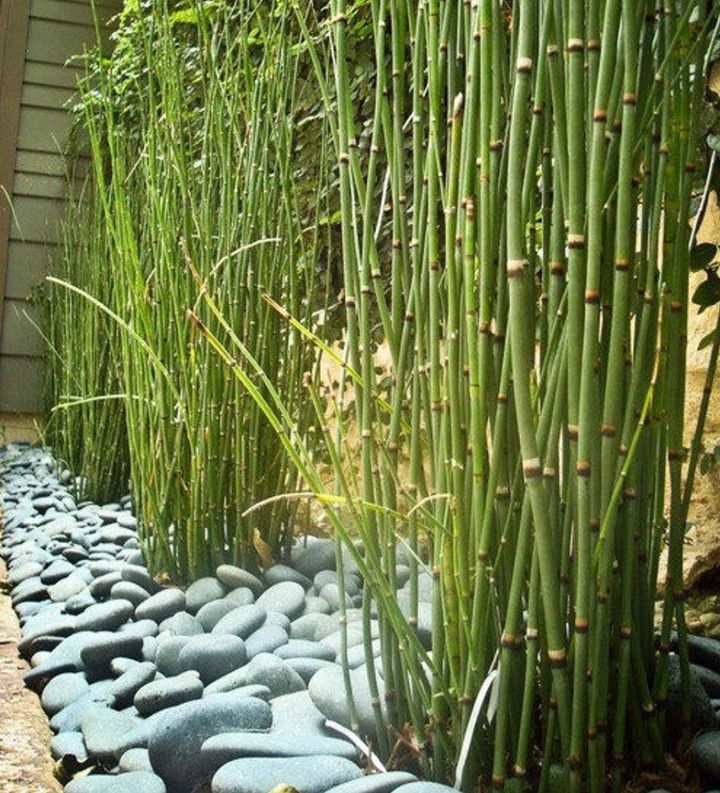 zen garden ideas on a budget