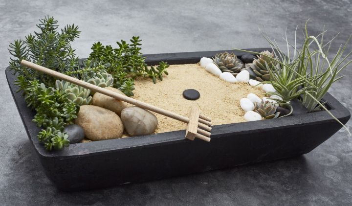 31 Authentic Zen Garden Ideas To Bring, Mini Zen Garden Design