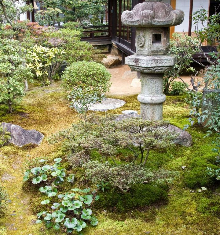 zen garden plants