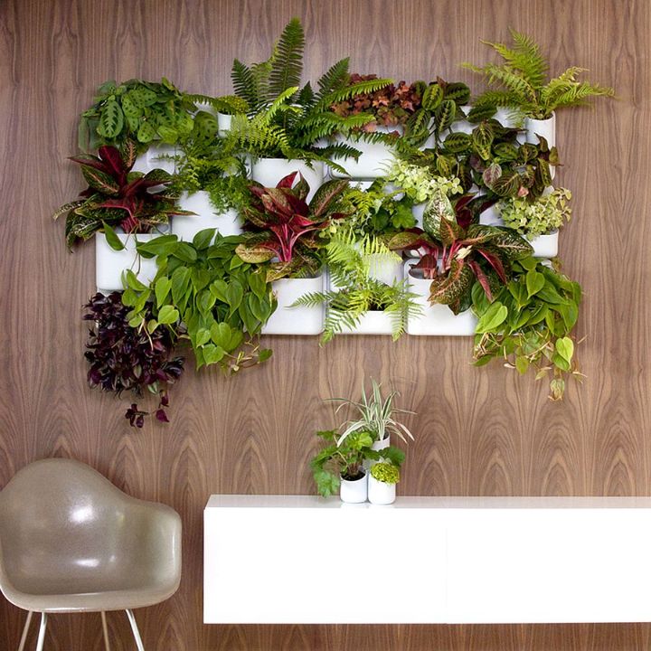 a living wall planter